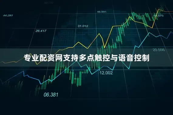 专业配资网支持多点触控与语音控制